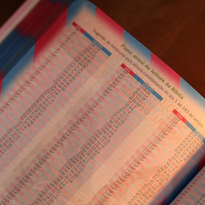 image_0add1be9-ea46-4bdf-9610-05f8dae47ad4