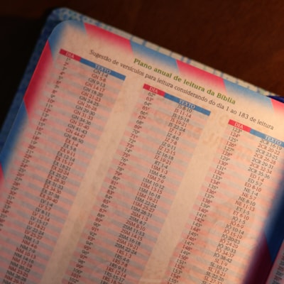 image_1e1a48a4-2337-44b9-87d3-1978b67bc69a