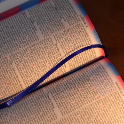 image_8ea40f23-bb59-47fb-959a-5256aae7cb1e