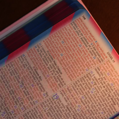 image_cafa62bb-da6c-4a36-9675-dbc5d4fd993a