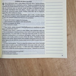 Bíblia Peregrino | NVI | Letra Grande | Capa Dura com Espaço para Anotações