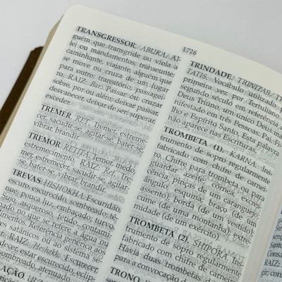 image_892ff580-43ac-40a6-8eee-7170f0d8710c