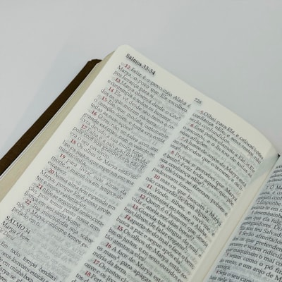 image_6d23b283-8d6c-4a65-9305-a6e1c188efdb