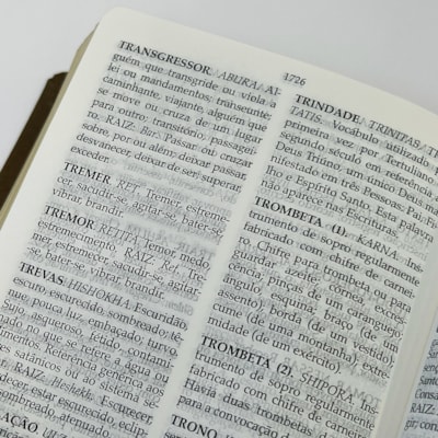 image_7a70eaa2-f8c6-45a4-8277-8476c23d13a9