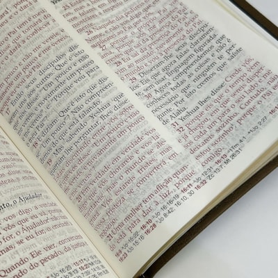 image_feecec6f-c99a-4b4a-a0a2-690fe1431f7d