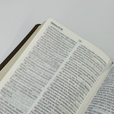 image_404bd5ba-e887-46fb-a17c-59e6117701aa