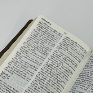 Bíblia Peshitta com Referências | Letra Grande | Capa Luxo Marrom