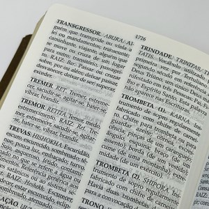 Bíblia Peshitta com Referências | Letra Grande | Capa Luxo Verde
