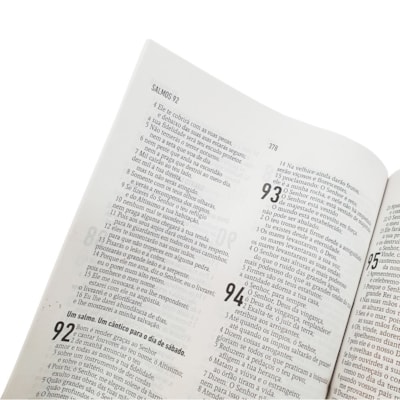 image_00309b00-5cc2-4480-a5af-53c1f45c588b