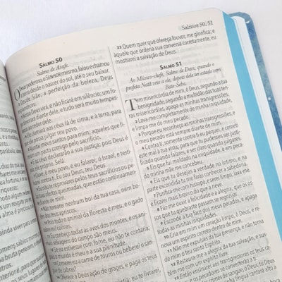 image_ef10f704-88c1-4dc2-939b-6fa39f134ba2