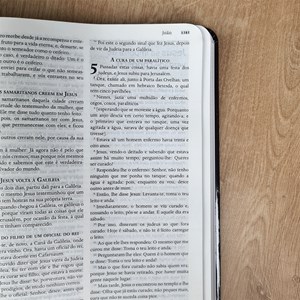 Bíblia Pregação Expositiva | ARA | Letra Normal | Capa Dura | Hernandes Dias Lopes