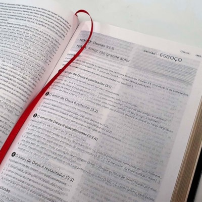 image_7378b00f-c58d-4830-9fc0-0f3a2a1b3e36