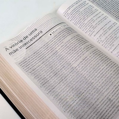 image_1d535f24-f226-4a04-bc3a-a2e48835f026