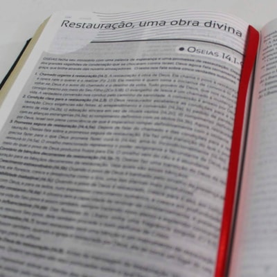 image_13ba5e89-b639-454b-a2c1-c7387270f1b4