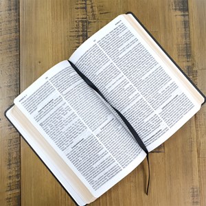 Bíblia Preta e Dourada | NVT | Letra Normal | Capa Dura Luxo