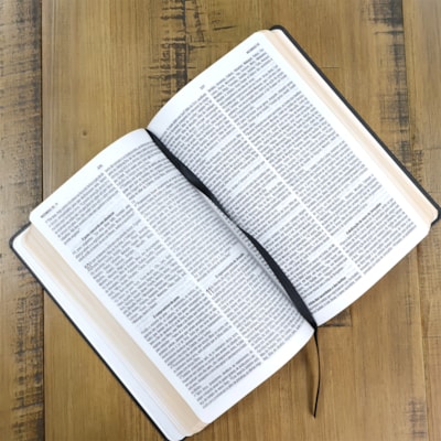 image_fc76f889-a620-40a3-a1f4-f710c5828f99