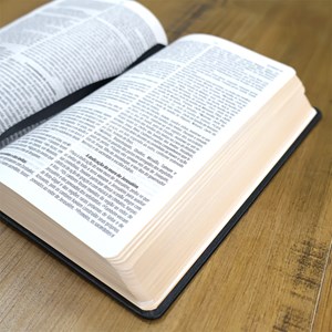 Bíblia Preta e Dourada | NVT | Letra Normal | Capa Dura Luxo