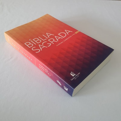 image_b9dce80a-0c4f-44bd-b7f6-ba5ff1aaf0d7