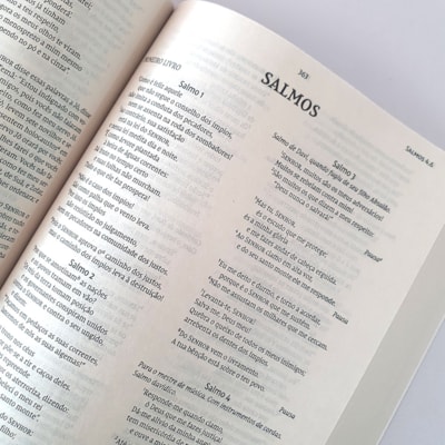 image_ad70fac7-cd85-4a3a-8496-d7e6c08a6a12