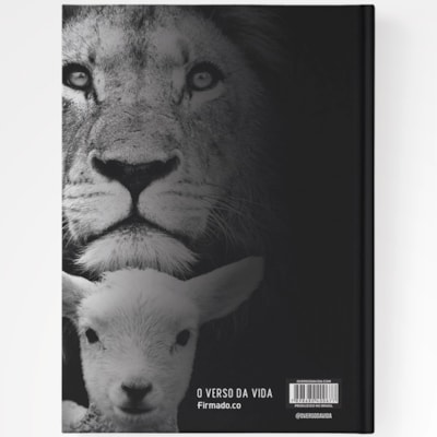 image_e7cca4f2-a25c-4ddf-ba96-6a1e24dc5ff9