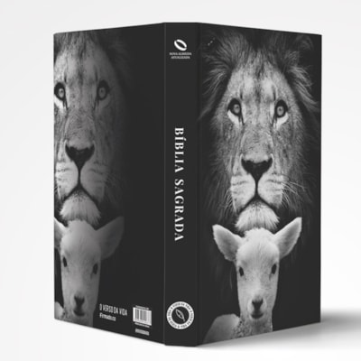 image_213dada1-9368-4e54-9c6b-65e952446438