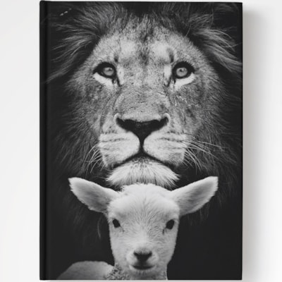 Imagem Principal - 70a7961f-7121-4709-9a80-040f2973c974