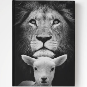 Bíblia Purificador Leão e Ovelha | NAA | Letra Normal | Capa Dura