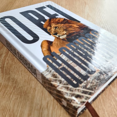 image_bccf9fc1-b302-4898-8c02-0d44cf2d5a8f