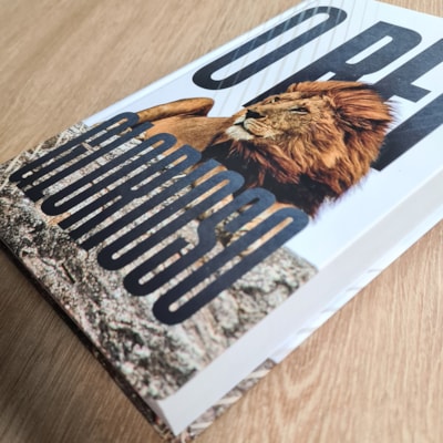 image_cf975134-0c9a-4266-9fa6-425922fcc458