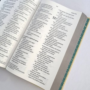 Bíblia Retrô Turquesa | Leitura Perfeita | NVI | Letra Grande | Capa Dura