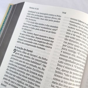 Bíblia Retrô Turquesa | Leitura Perfeita | NVI | Letra Grande | Capa Dura