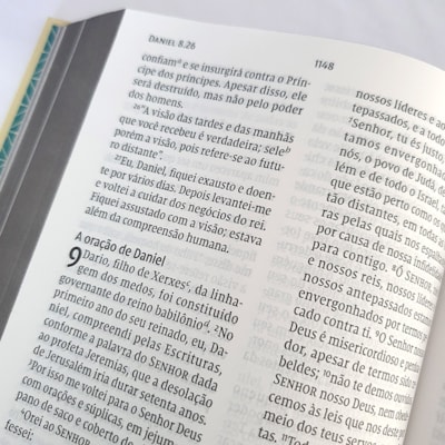 image_86a98f4d-6b81-4100-91a1-0e5970298fbc