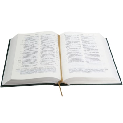 image_353c406f-3c60-4099-a039-f72a153bf85f