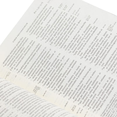 image_19656f9b-1d46-40f1-a353-bdac8682fc6a