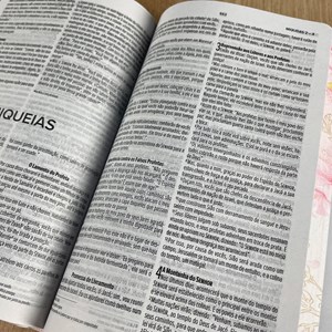 Bíblia Sagarda Dar-te Graças  | NVI | Letra Normal | Capa Dura