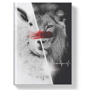 Bíblia Sagrada 3 Dias | NAA Letra Normal | Capa Dura