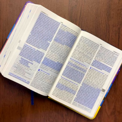 image_ca5ded63-b94f-4abd-b41d-62e5a22df45e