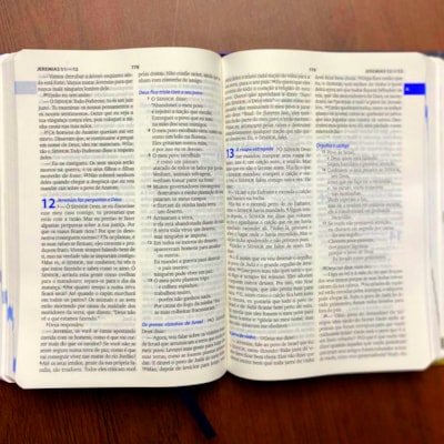 image_027f2ca4-9edc-430f-8755-edd58429d5c3