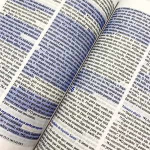 Bíblia Sagrada 3 Palavrinhas | NTLH | Capa Dura