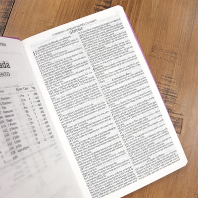 image_e97ea982-8d46-41a5-9d11-906934548a7e