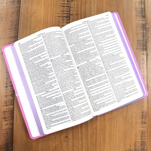 Bíblia Sagrada 860 | ARC | Letra Normal | Com Harpa Avivada e Corinhos | Capa Buquê Roxo