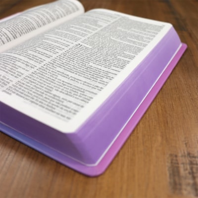 image_850e0201-ac07-4cef-aa8b-48494c33dcfc