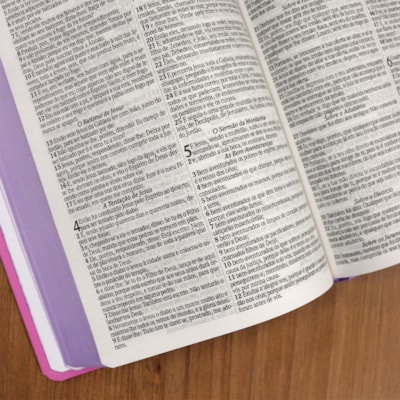 image_b52339e9-557c-4401-9357-2ef595389c8a