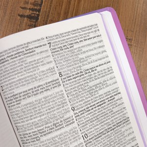 Bíblia Sagrada 860 | ARC | Letra Normal | Com Harpa Avivada e Corinhos | Capa Buquê Roxo