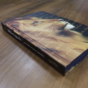 Segunda imagem do produto Bíblia Sagrada 860 | ARC | Letra Normal | Com Harpa Avivada e Corinhos | Capa Leão de Judá