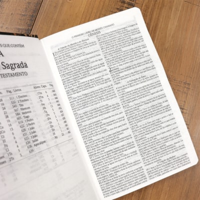 image_e538ac17-549b-4271-ada2-73e7dafd3c1c