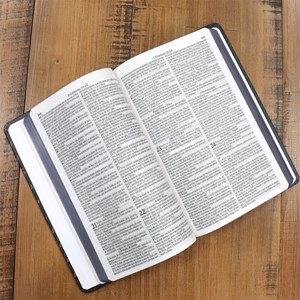 Bíblia Sagrada 860 | ARC | Letra Normal | Com Harpa Avivada e Corinhos | Capa Leão de Judá