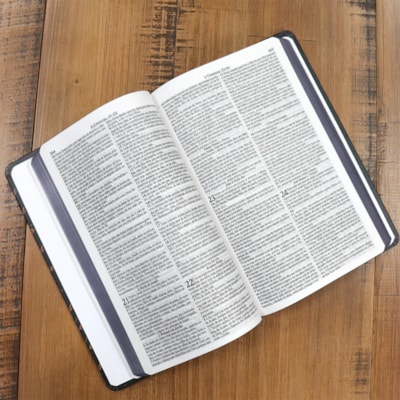 image_f7d0eb37-97c4-45a3-819a-e8a3df51f43d