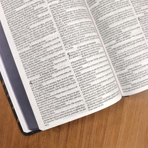 Bíblia Sagrada 860 | ARC | Letra Normal | Com Harpa Avivada e Corinhos | Capa Leão de Judá