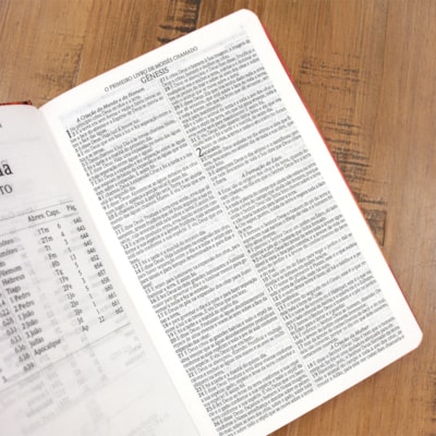 image_8c515604-e196-4865-a02c-84137c9a820b